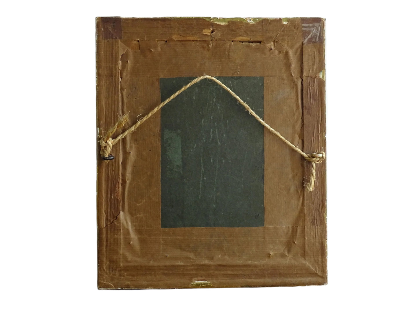 French Antique Drawing of birds, framed. Coloured Pencil original bird study from the nineteenth century