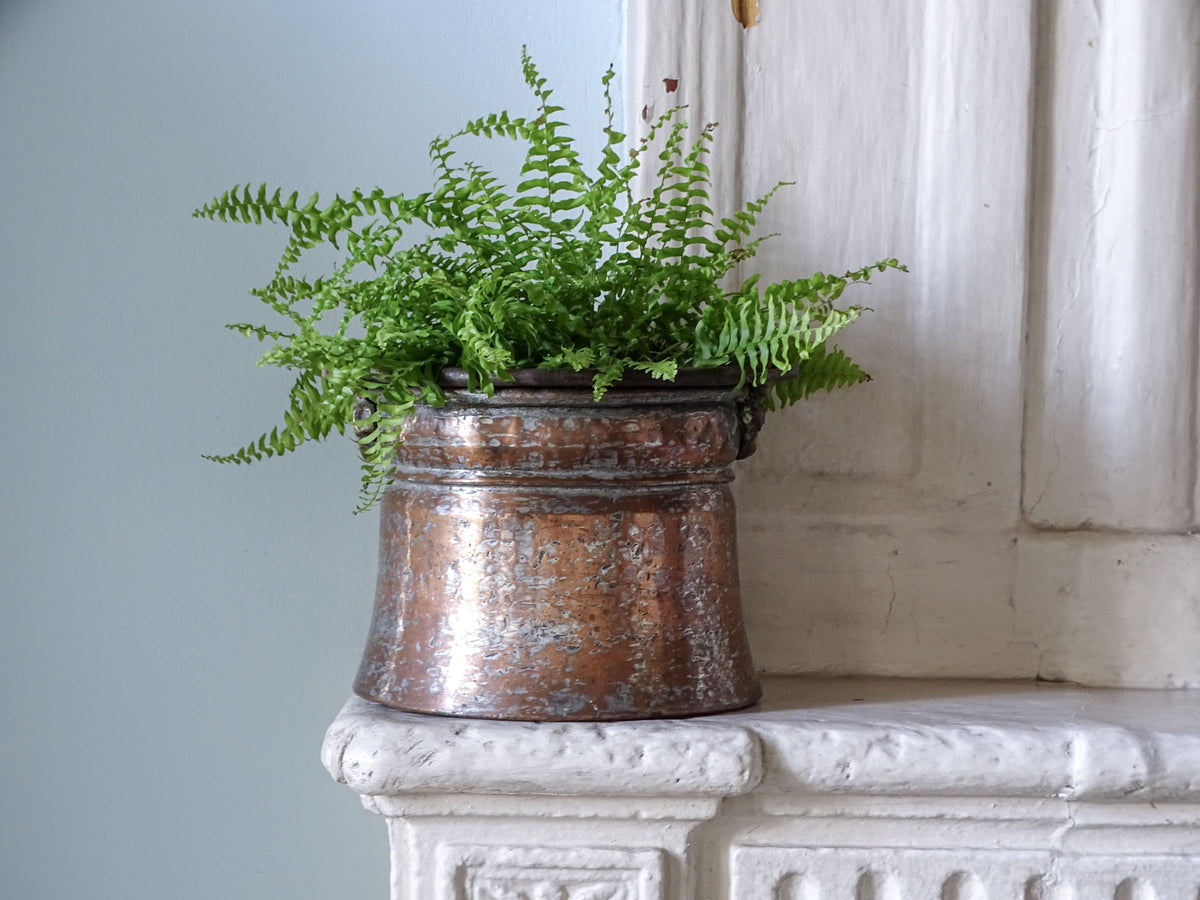 French antique copper cauldron with brass handle, displayed with a fern on a country house fireplace.
