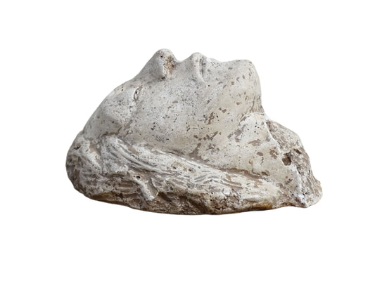 French antique plaster head sculpture. Classical style plaster sculpture, signed.