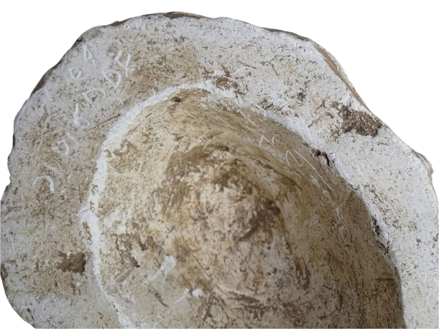 French antique plaster head sculpture. Classical style plaster sculpture, signed.