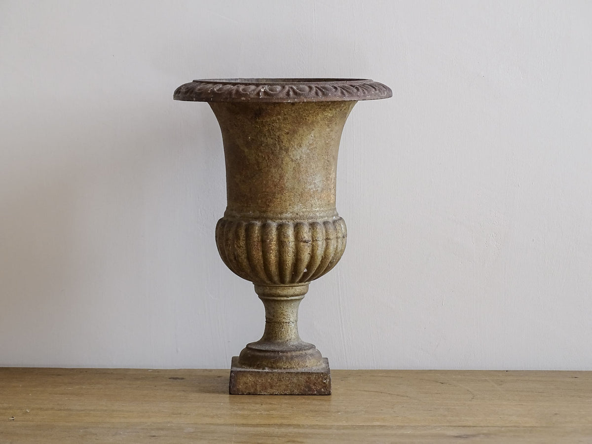 French antique cast iron planter, Medici planter with patina and rusting.