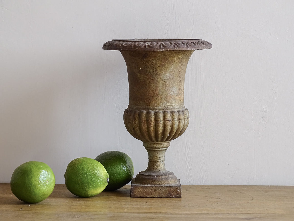 French antique cast iron planter, Medici planter with patina and rusting.