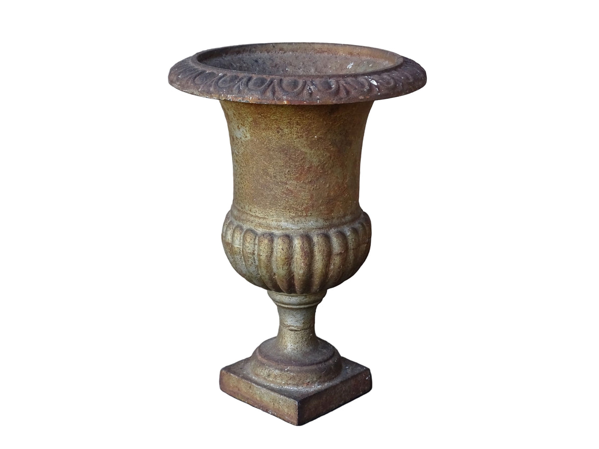 French antique cast iron planter, Medici planter with patina and rusting.
