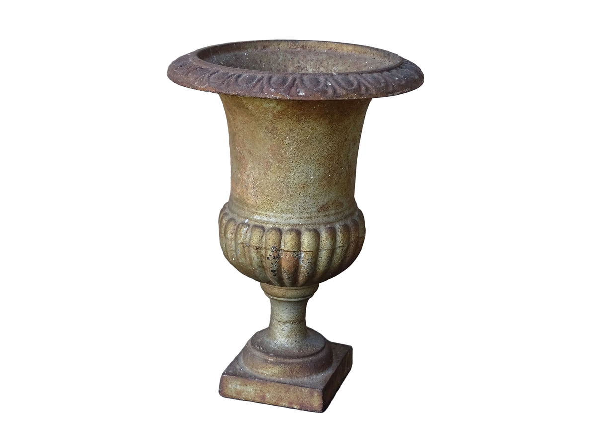 French antique cast iron planter, Medici planter with patina and rusting.