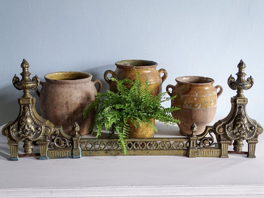 Antique French Napoleon III brass fireplace fender and chenets styled with rustic pottery and a green fern