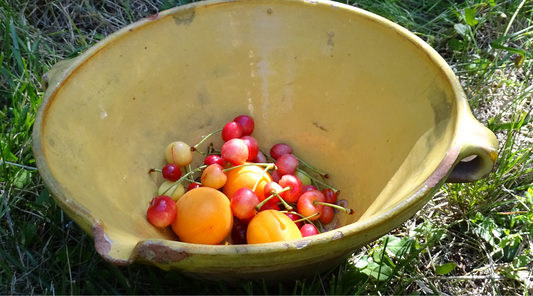 French antique terracotta tian bowl with yellow glaze interior