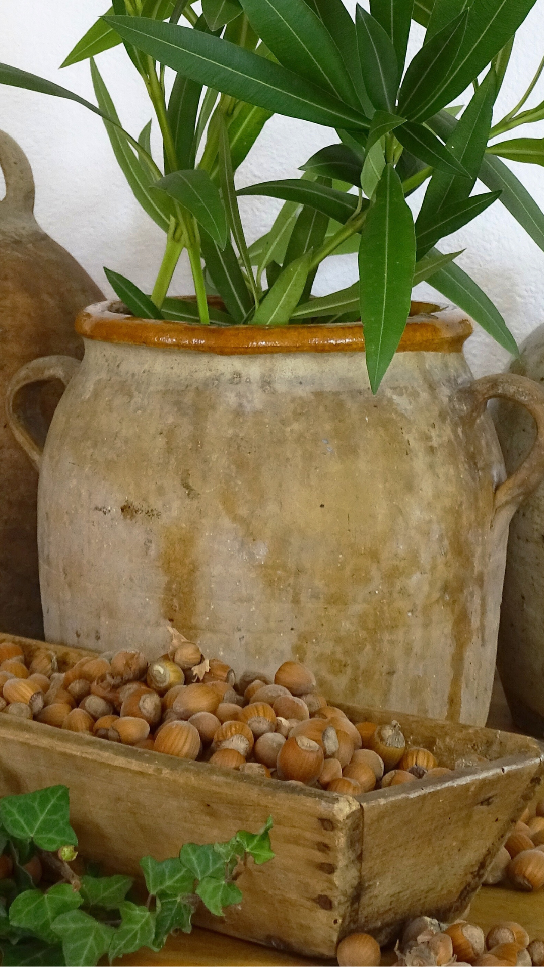 Autumn collection with an antique French wooden baguette box and a earthenware pot