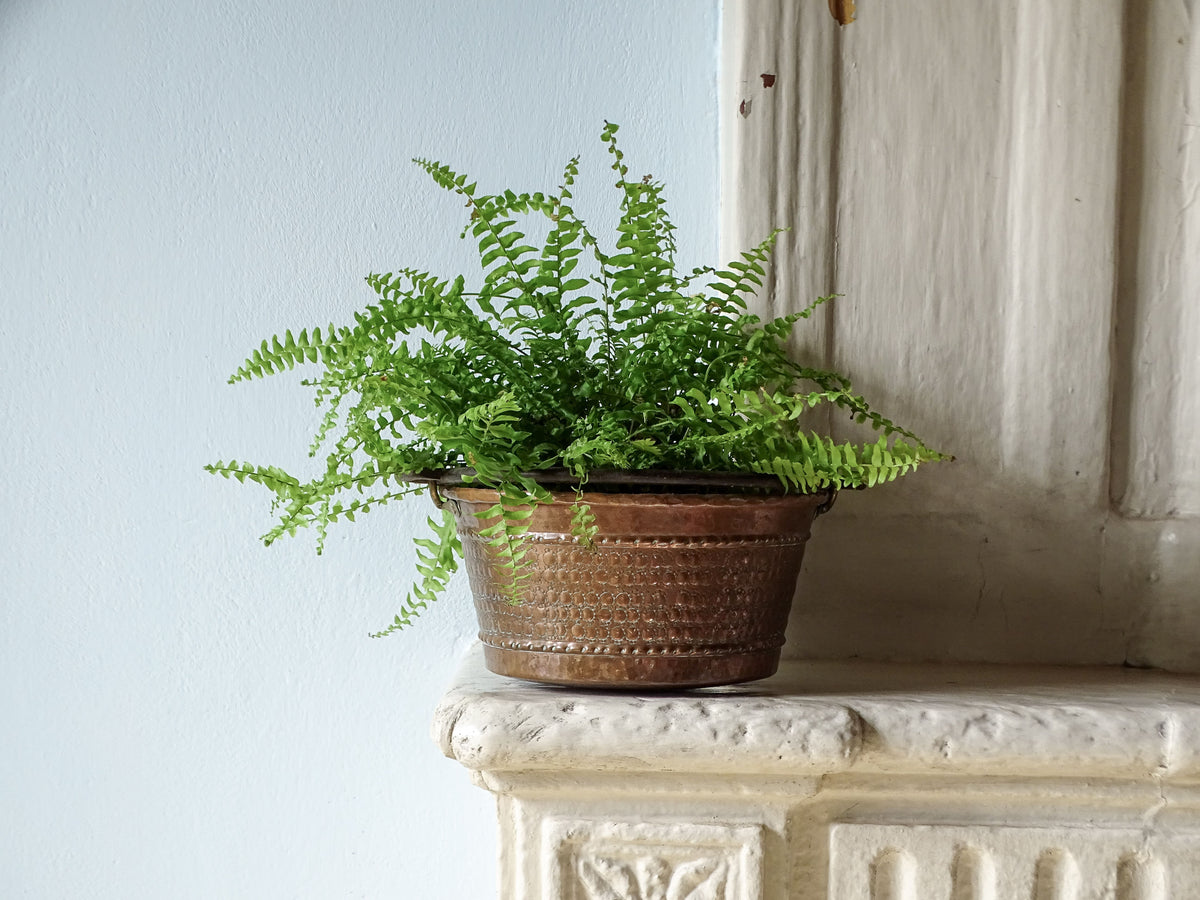 French vintage copper cauldron with hammered detailing, pictured with a fern on a country house fireplace