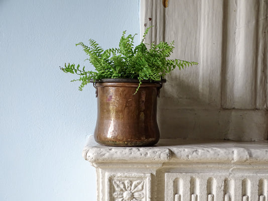 Small French antique copper cauldron or pot with wrought iron handle, displayed with a fern on a country house fireplace next to a pale blue wall