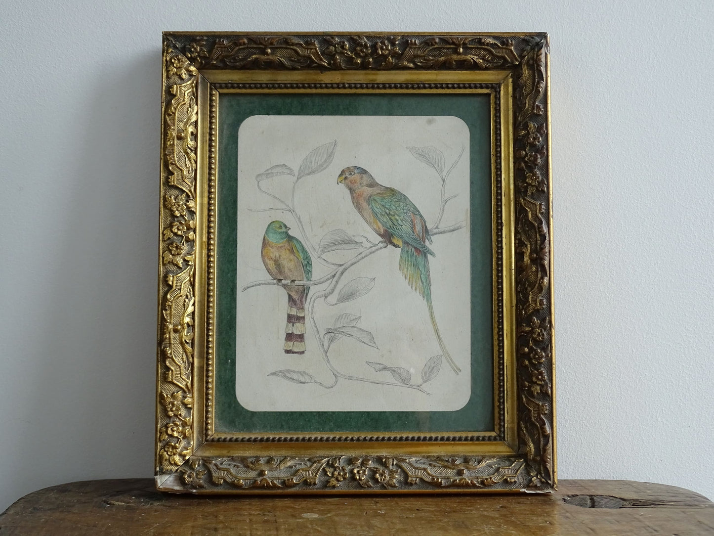 French Antique Drawing of birds, framed. Coloured Pencil original bird study from the nineteenth century