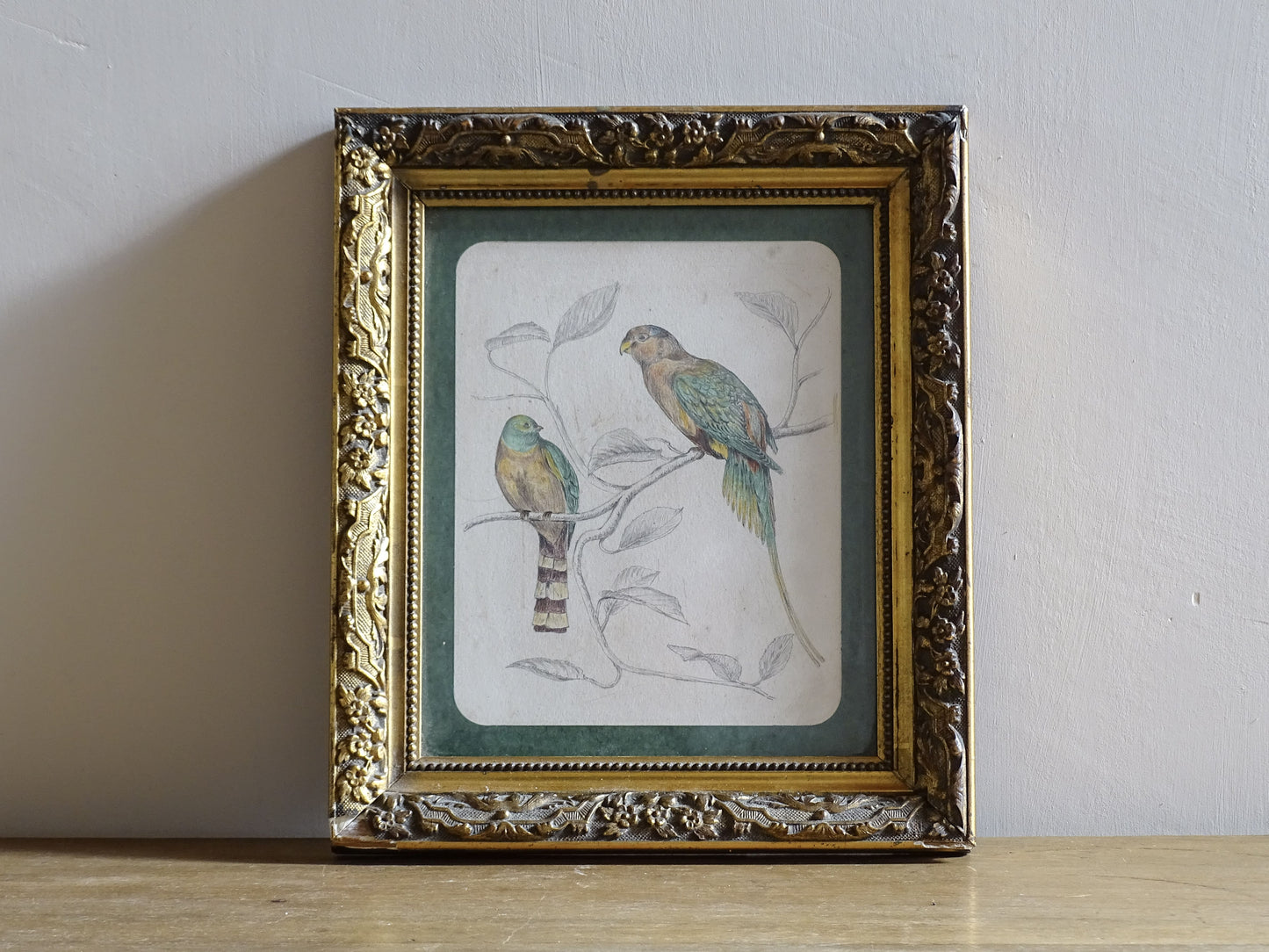 French Antique Drawing of birds, framed. Coloured Pencil original bird study from the nineteenth century