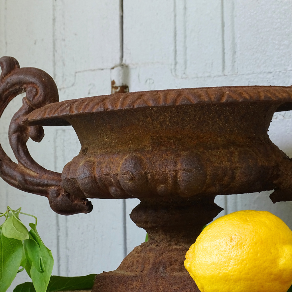 French antique cast iron planter 