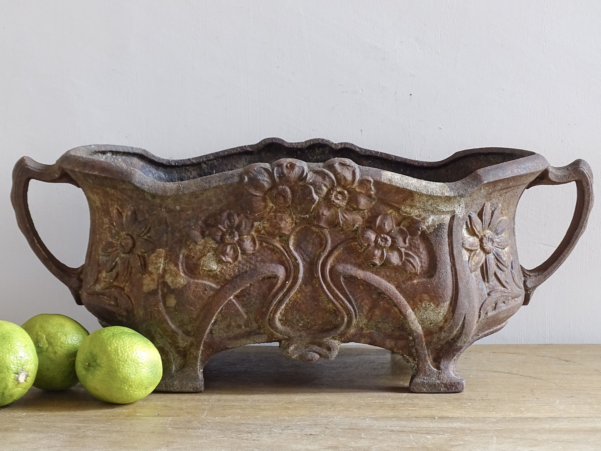 French antique cast iron planter in Art Nouveau style with floral decoration and twin handles.