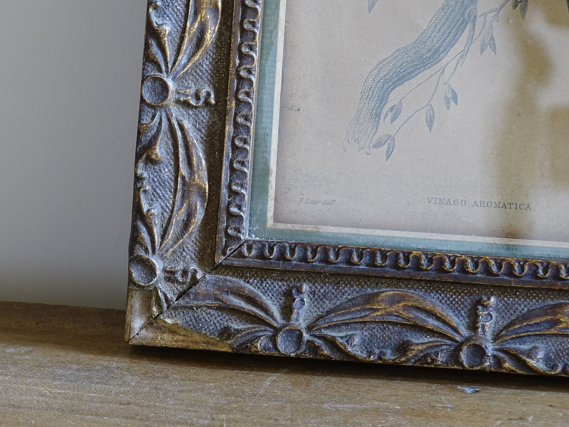 Decorative antique bird pictures with richly carved gilt frames