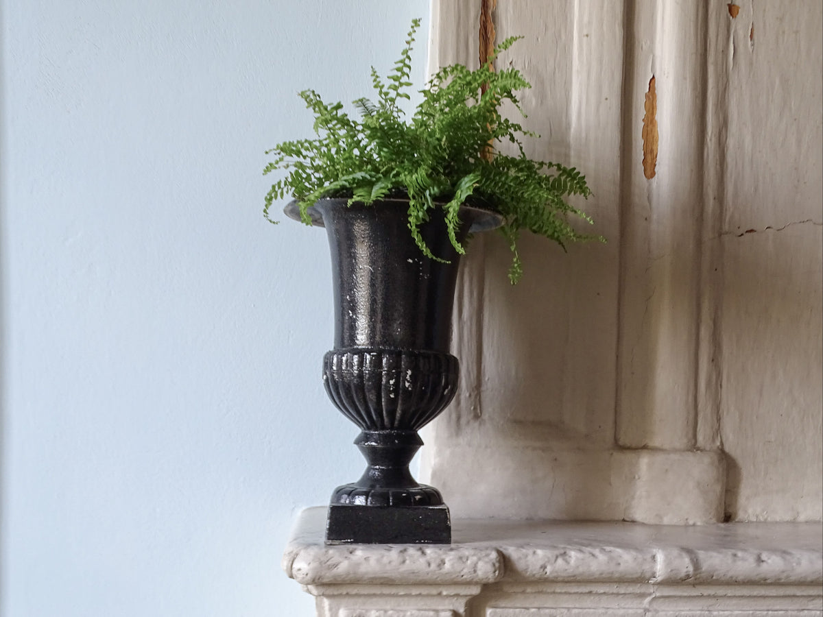 French antique cast iron urn in black with a green fern, pictured on a country house fireplace