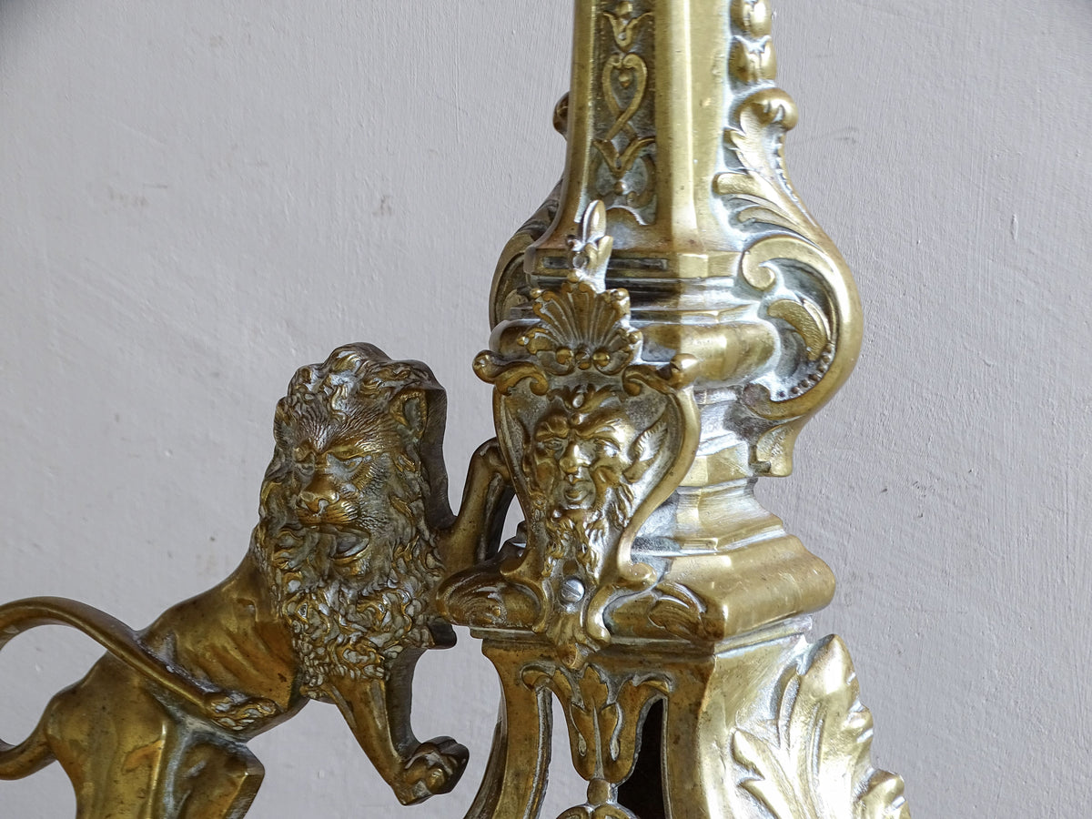 Cast lion and mask decoration on an antique Napoleon III fireplace fender