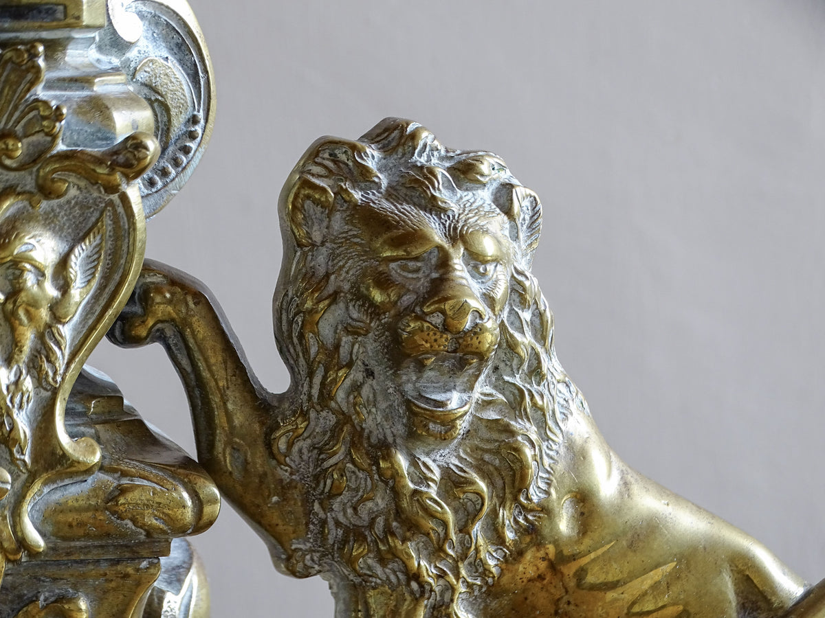 Close-up of a sculpted brass lion on a Napoleon III French fireplace fender
