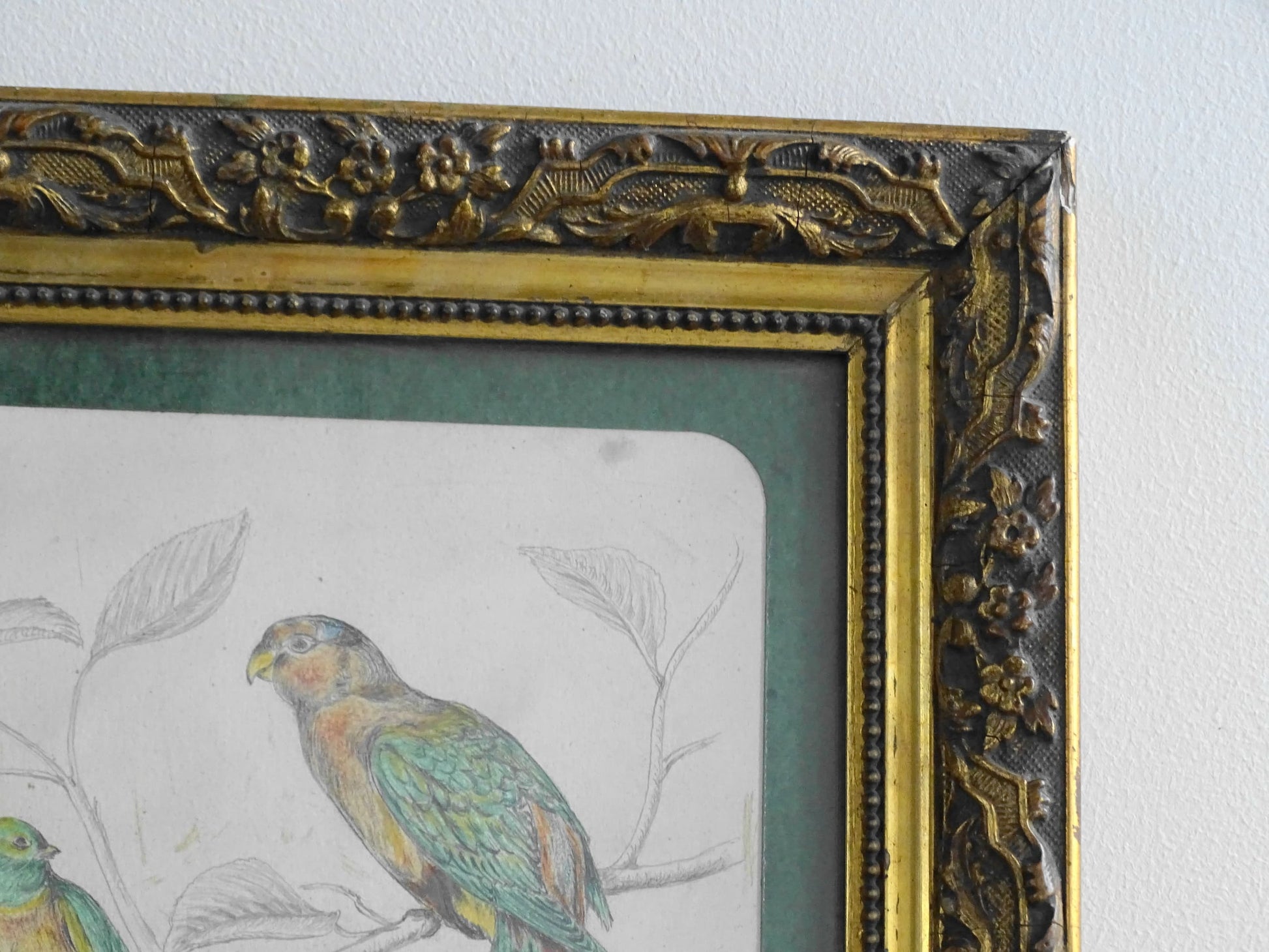 Antique 19th Century Original Framed Bird Study in Coloured Pencil