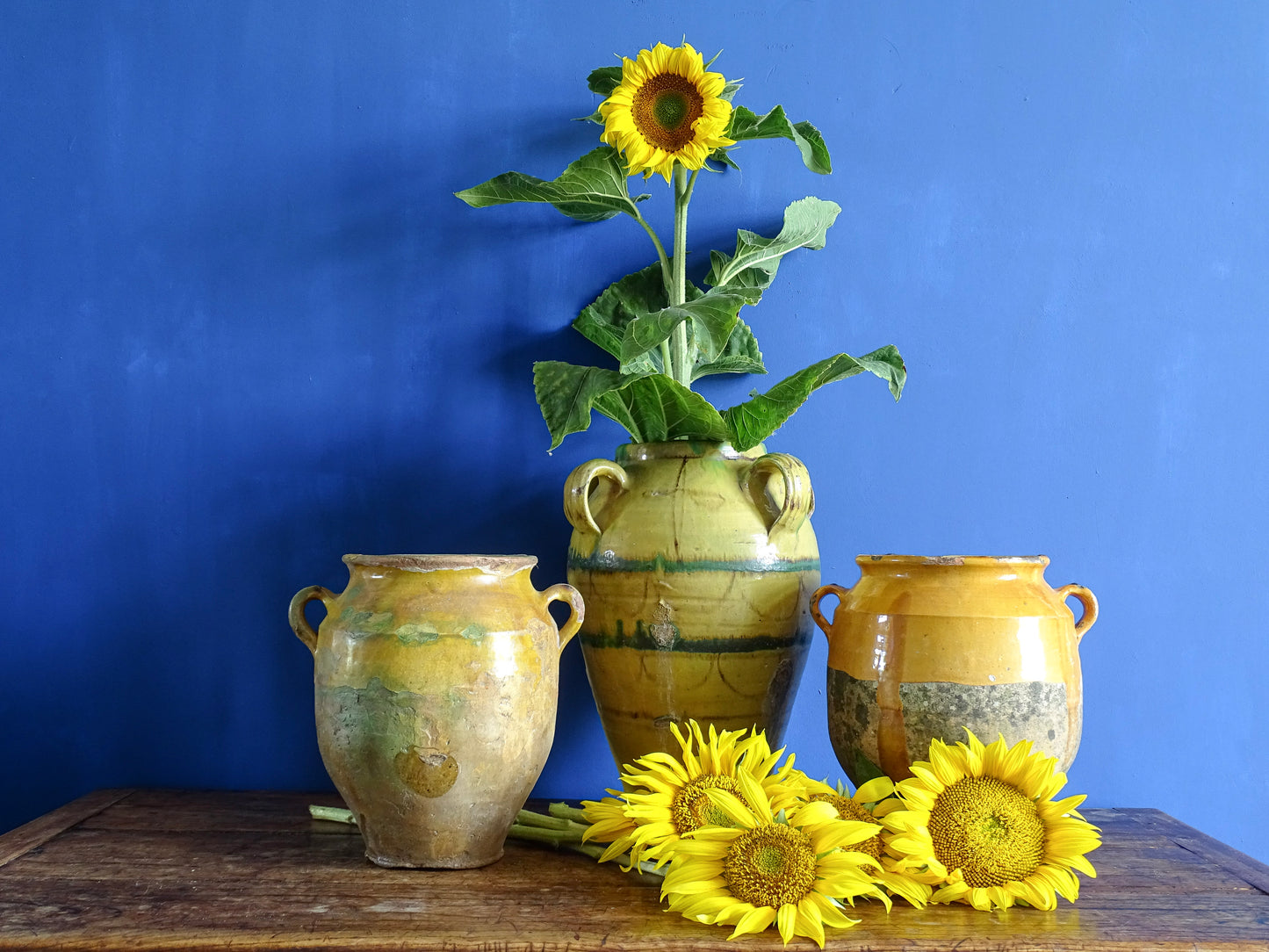 French antique confit pots with a North African terracotta jar filled with sunflowers in a room with a painted blue wall. 