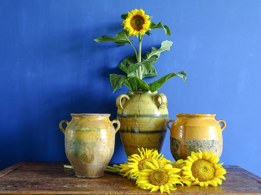 French antique confit pots with a North African terracotta jar filled with sunflowers in a room with a painted blue wall. 