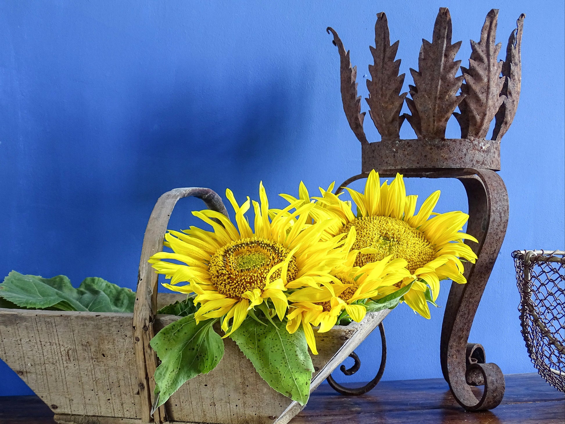 Spanish vintage cast metal plant stand alongside sunflowers in a blue painted room