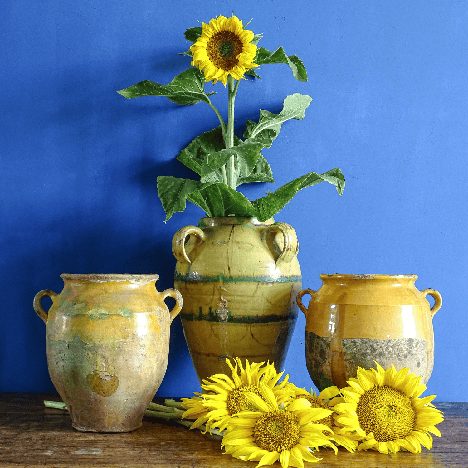 French confit pots and an antique earthenware jar against a blue painted wall with sunflowers